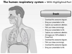 35206919 style medical 1 respiratory 1 piece powerpoint presentation diagram infographic slide