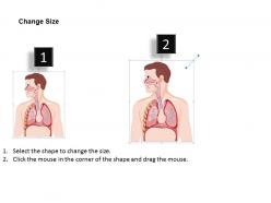 35206919 style medical 1 respiratory 1 piece powerpoint presentation diagram infographic slide