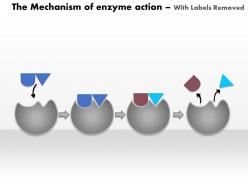 0614 the mechanism of enzyme action medical images for powerpoint