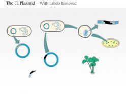 0614 the ti plasmid as a vector in plant genetic engineering medical images for powerpoint