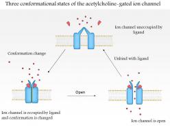 0614 three conformational states of the acetylcholine gated ion channel medical images for powerpoint