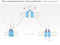 0614 three conformational states of the acetylcholine gated ion channel medical images for powerpoint
