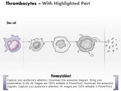 0614 thrombocytes medical images for powerpoint