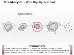 0614 thrombocytes medical images for powerpoint
