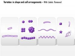 0614 variation in shape and cell arrangements medical images for powerpoint