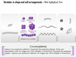 0614 variation in shape and cell arrangements medical images for powerpoint
