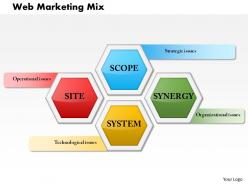 0614 web marketing mix powerpoint presentation