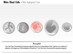 0614 white blood cells immune system medical images for powerpoint