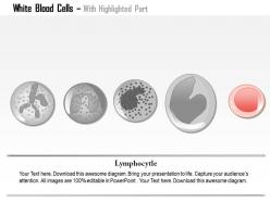 1262831 style medical 3 immunology 1 piece powerpoint presentation diagram infographic slide