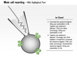 0614 whole cell recording medical images for powerpoint