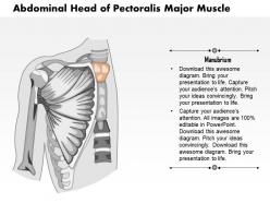 0714 abdominal head of pectoralis major muscle medical images for powerpoint