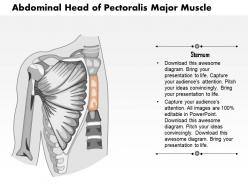 0714 abdominal head of pectoralis major muscle medical images for powerpoint
