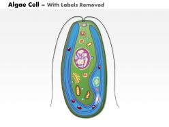 0714 algae cell medical images for powerpoint