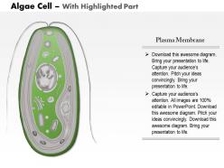 56893649 style medical 3 biology 1 piece powerpoint presentation diagram template slide