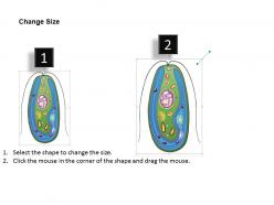 56893649 style medical 3 biology 1 piece powerpoint presentation diagram template slide