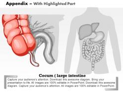 0714 appendix medical images for powerpoint
