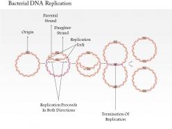 0714 bacterial dna replication medical images for powerpoint