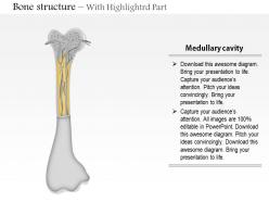 0714 bone structure medical images for powerpoint