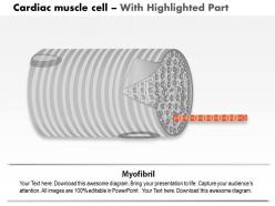 0714 cardiac muscle cell medical images for powerpoint