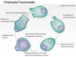 0714 chlamydia trachomatis medical images for powerpoint