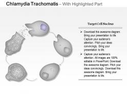 0714 chlamydia trachomatis medical images for powerpoint