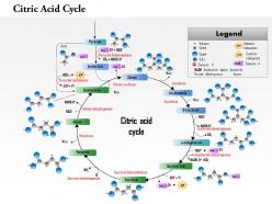 0714 citric acid cycle medical images for powerpoint