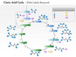 0714 Citric Acid Cycle Medical Images For PowerPoint