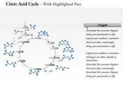 0714 Citric Acid Cycle Medical Images For PowerPoint