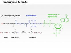 0714_coenzyme_medical_images_for_powerpoint_Slide01
