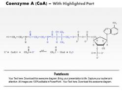 0714 coenzyme medical images for powerpoint