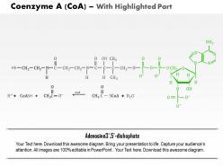 0714 coenzyme medical images for powerpoint