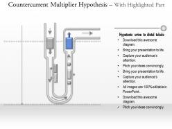 0714 countercurrent multiplier hypothesis medical images for powerpoint
