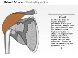 0714 deltoid muscle medical images for powerpoint