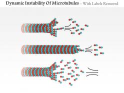 0714 dynamic instability of microtubules medical images for powerpoint