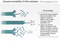 0714 dynamic instability of microtubules medical images for powerpoint