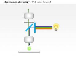 0714 fluorescence microscopy medical images for powerpoint
