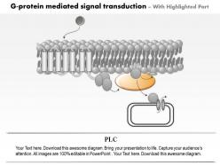 0714 g protein mediated signal transduction medical images for powerpoint