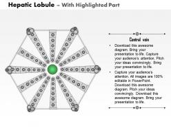 0714 hepatic lobule medical images for powerpoint