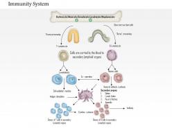 0714 immunity system medical images for powerpoint