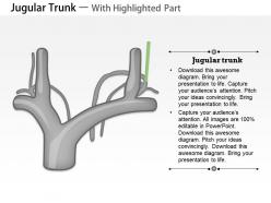 0714 jugular trunk medical images for powerpoint