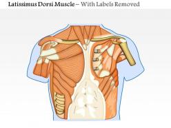 0714 latissimus dorsi muscle medical images for powerpoint