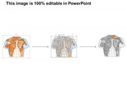 97084727 style medical 1 musculoskeletal 1 piece powerpoint presentation diagram infographic slide