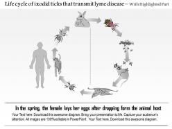 0714 life cycle of ixodid ticks that transmit lyme disease medical images for powerpoint