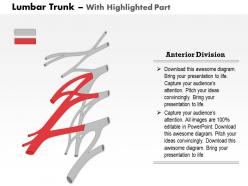 0714 lumbar trunk medical images for powerpoint