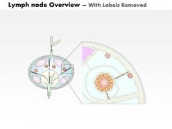 0714 lymph node overview medical images for powerpoint