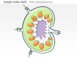 0714 lymph node shell medical images for powerpoint