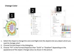 7685537 style medical 3 histology 1 piece powerpoint presentation diagram infographic slide