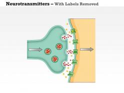 0714 neurotransmitters medical images for powerpoint