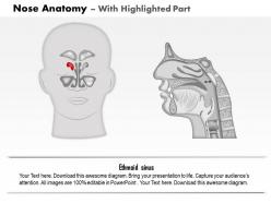 0714 nose anatomy medical images for powerpoint