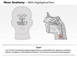 0714 nose anatomy medical images for powerpoint